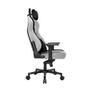 Cadeira Gamer DT3 Royce Ashen   Com almofadas ergonômicas de pescoço e lombar. Reclinável, Apoio de braço 4D, Cinza e Preto.   Compre agora no KaBuM!