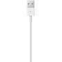 Cabo USB x Lightning para iPhone, 0,50cm, Apple, USB 2.0, Branco - ME291BZ/A