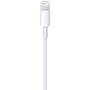 Cabo USB x Lightning para iPhone, 0,50cm, Apple, USB 2.0, Branco - ME291BZ/A