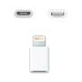 Adaptador Conversor Usb Lightning Para Micro Usb Branco