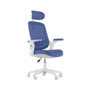 Cadeira de escritório ergonômica elements astra azul e branca  - estilo e conforto em harmonia: descubra a cadeira ergonômica elements astra azul e br