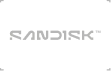 SanDisk