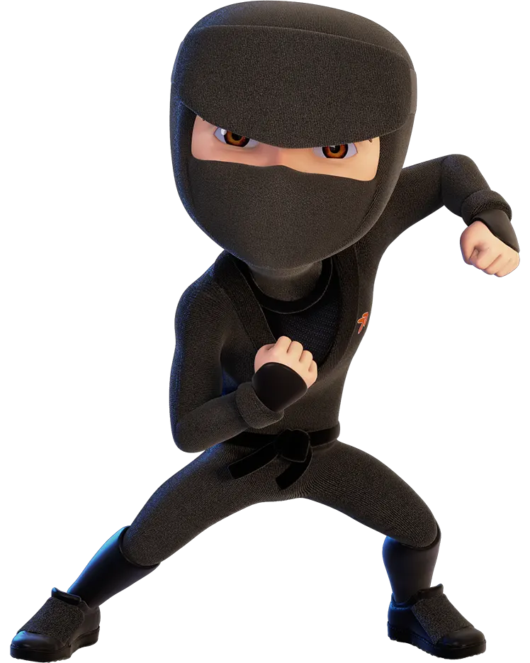 Ninja 4