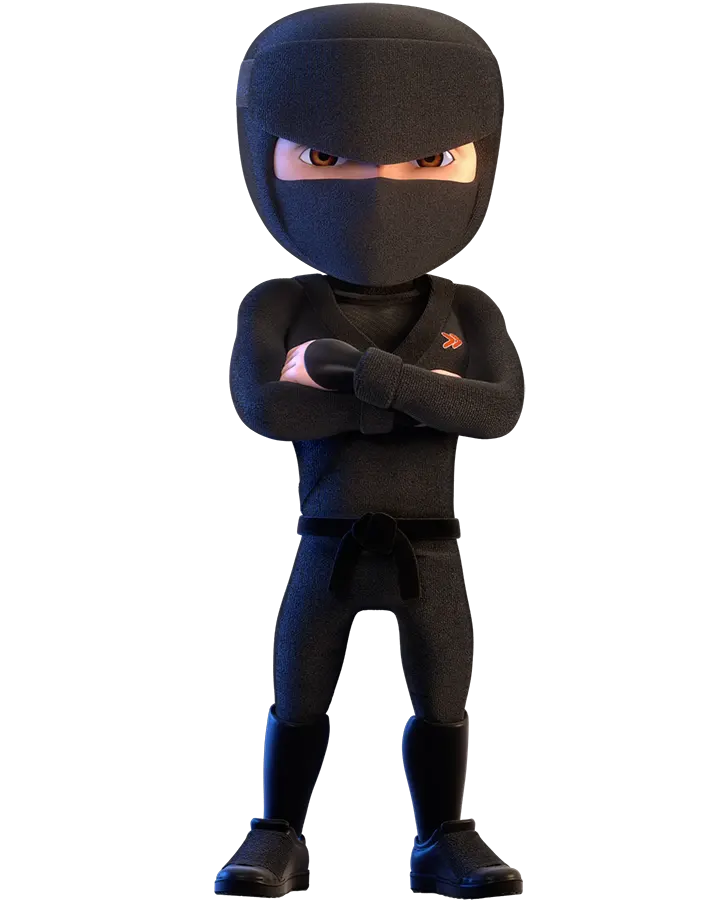 Ninja 1